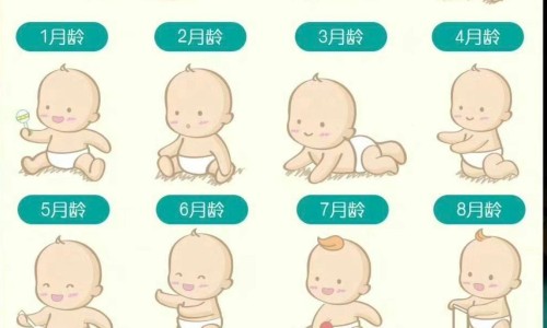 婴儿奶粉能做酸奶吗